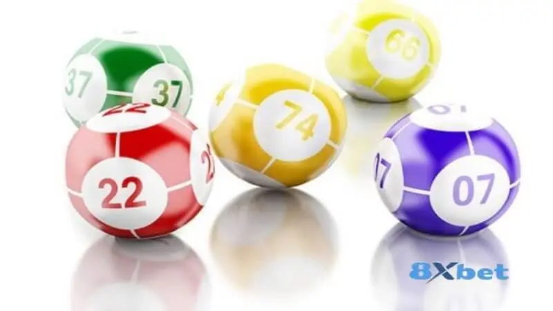 Các loại hình chơi lô trượt