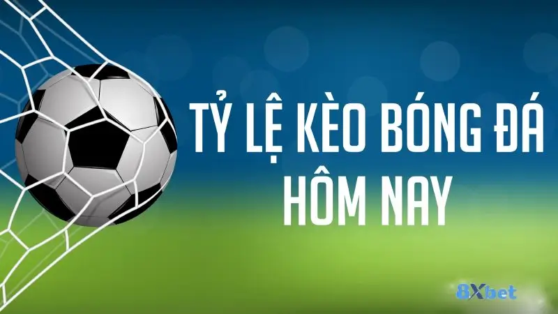 Cách bắt kèo cược tỉ số bóng đá