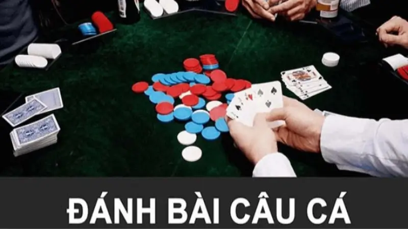 Cách chơi bài câu cá thắng lớn